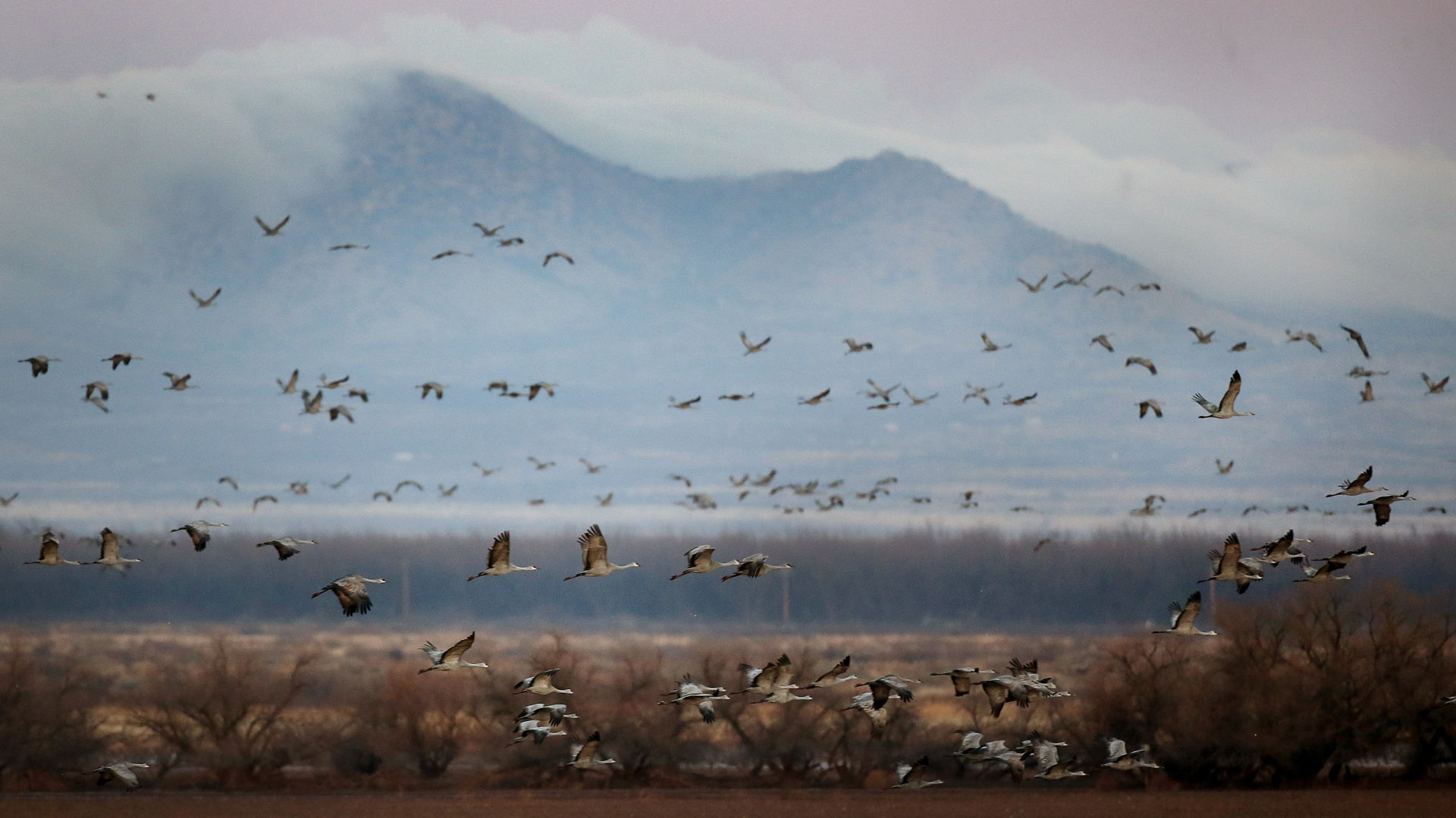 2018 Wings over Willcox